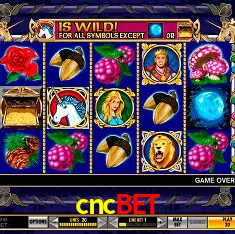 Descubra o Mundo do Cassino Online com cncbet